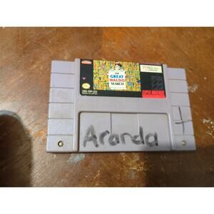 The Great Waldo Search SNES Cartridge Only